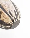 BH1A3956.webp